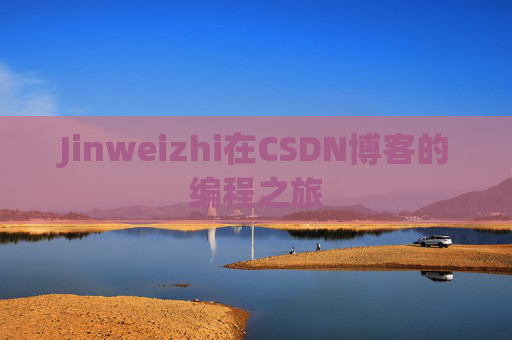 Jinweizhi在CSDN博客的编程之旅